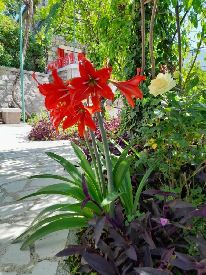 Stone House In Buljarica Villa Petrovac Luaran gambar